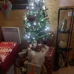 O De Salm Horská chata *