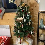 Horská chata O De Salm Senones (Vosges)