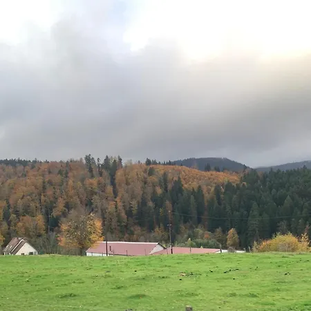 O De Salm Cosy & Nature Dans Les Vosges *